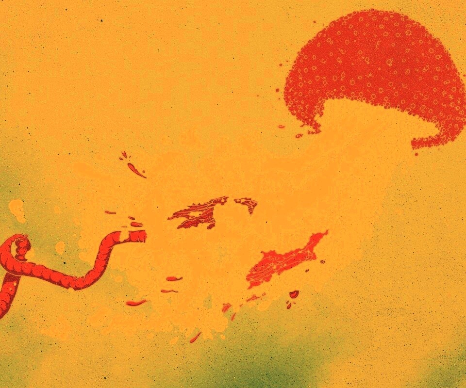 Розовая медуза обои