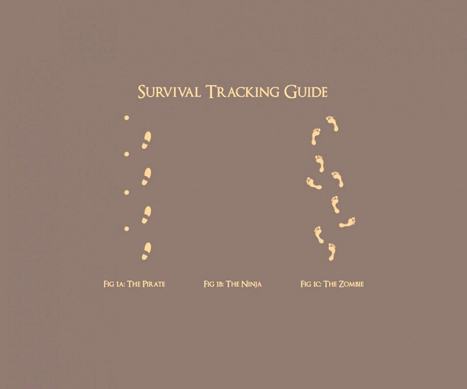 Следы: Пират, Ниндзя, Зомби обои