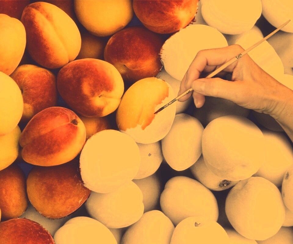 Крася абрикосы обои