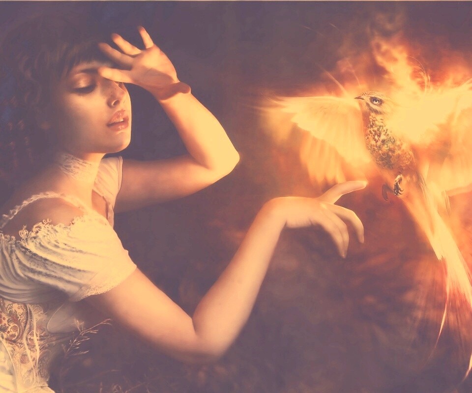 Феникс обои