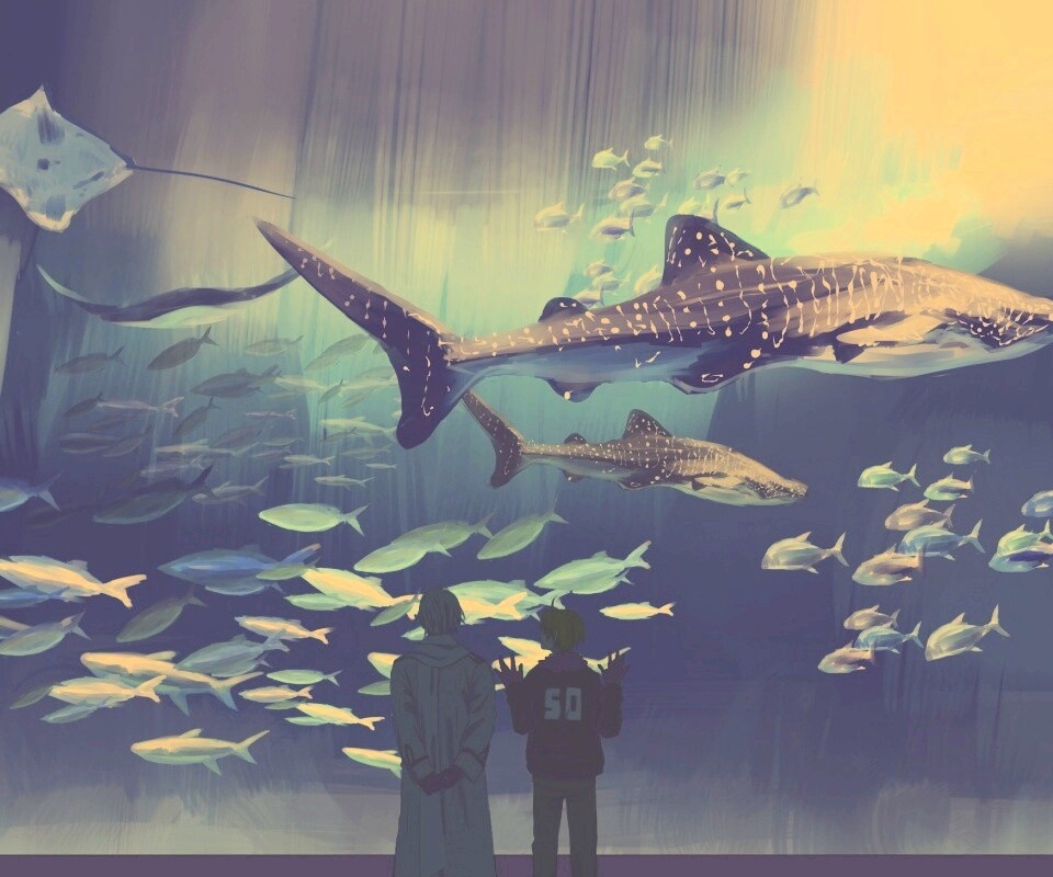 Двое в океанариуме обои