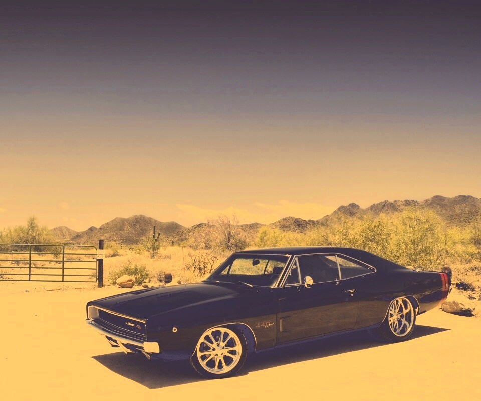 Мускулкар под палящим солнцем обои