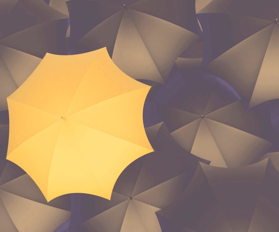 Жёлтый среди чёрных обои