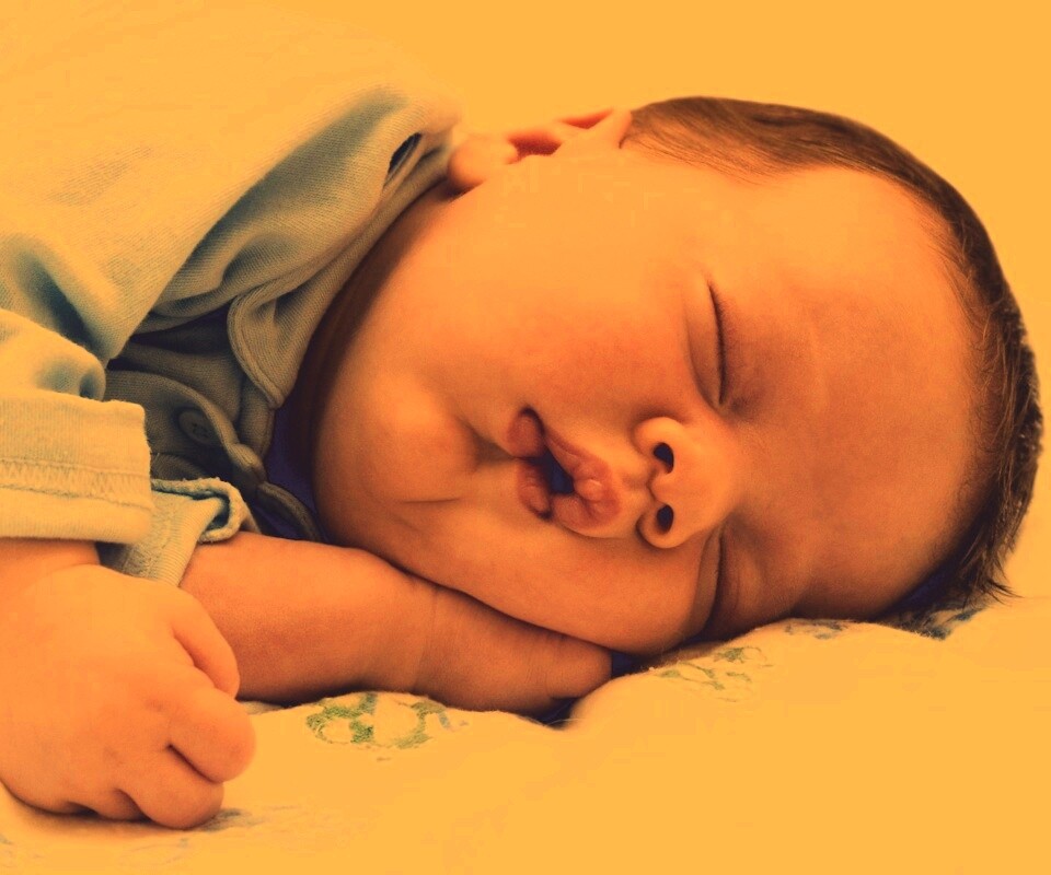 Спящая прелесть обои