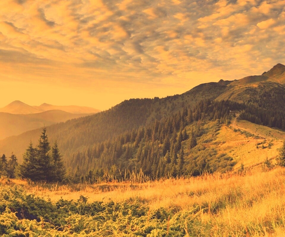 Предгорье обои