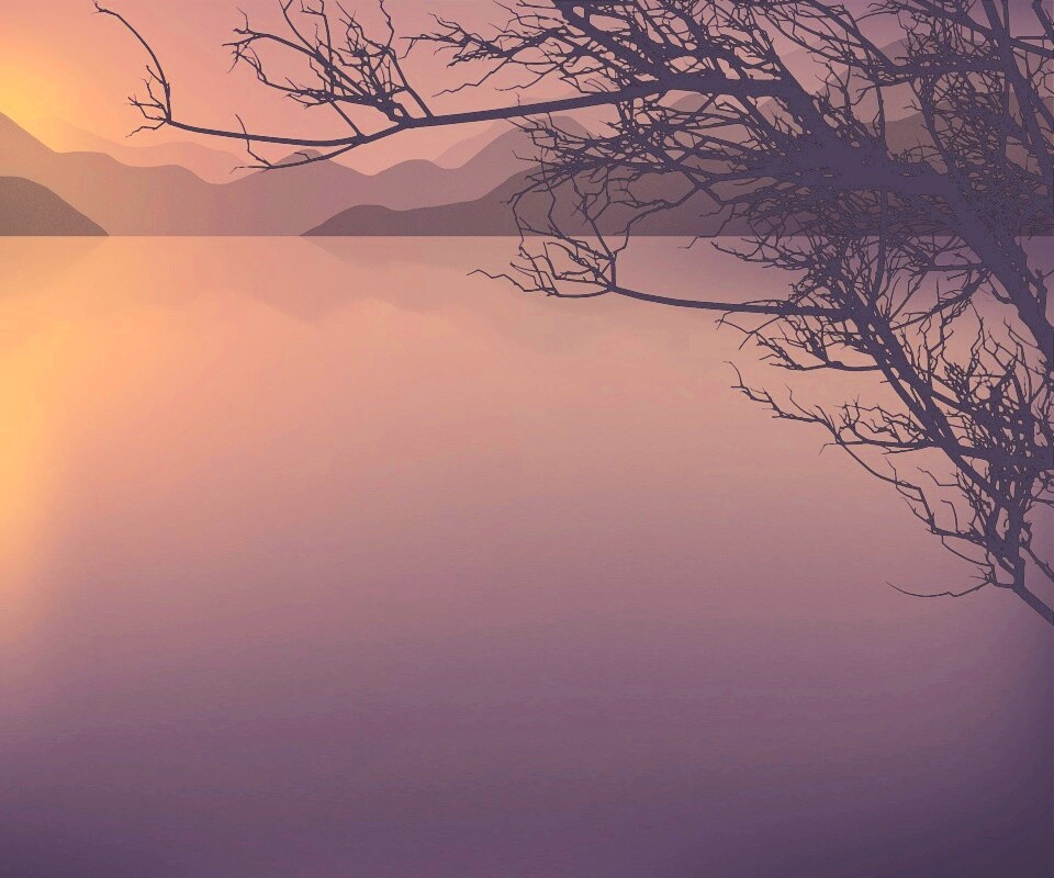 Ветка над вечерним озером обои