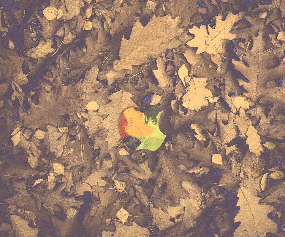 Яблоко в листьях обои