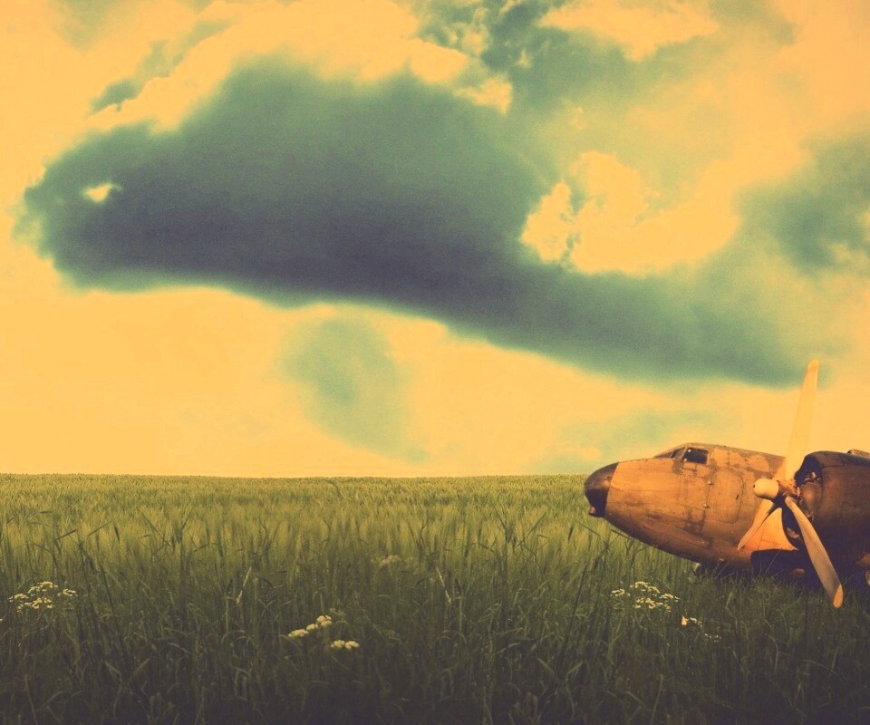 Старый ржавый самолет на лугу обои