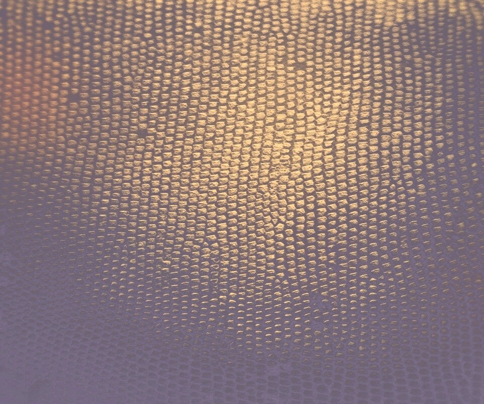 Чешуйчатые обои обои