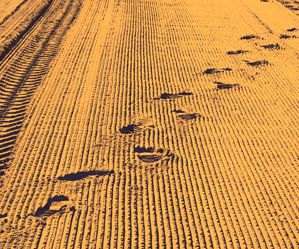 Следы на песке обои