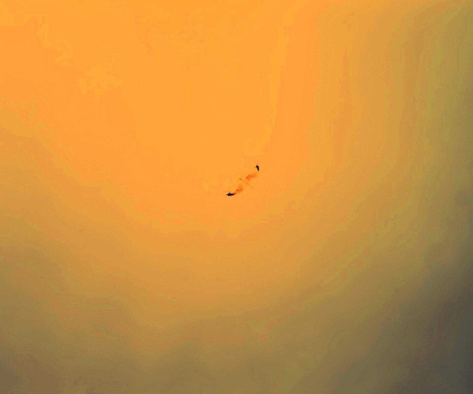 Полет  обои