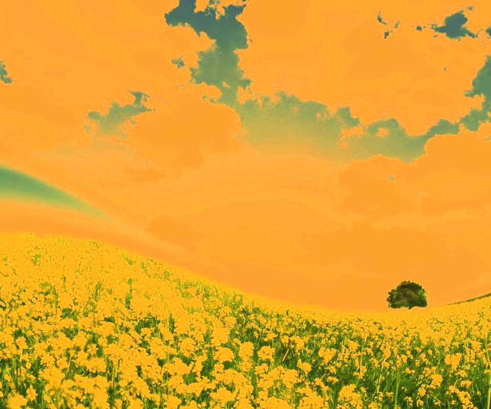 Искаженный мир обои