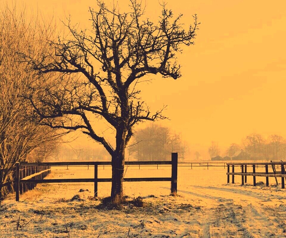 Зимний пейзаж обои