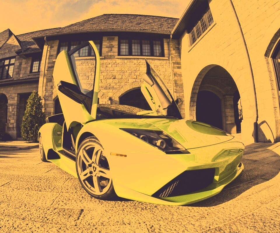 Зеленая ламба обои