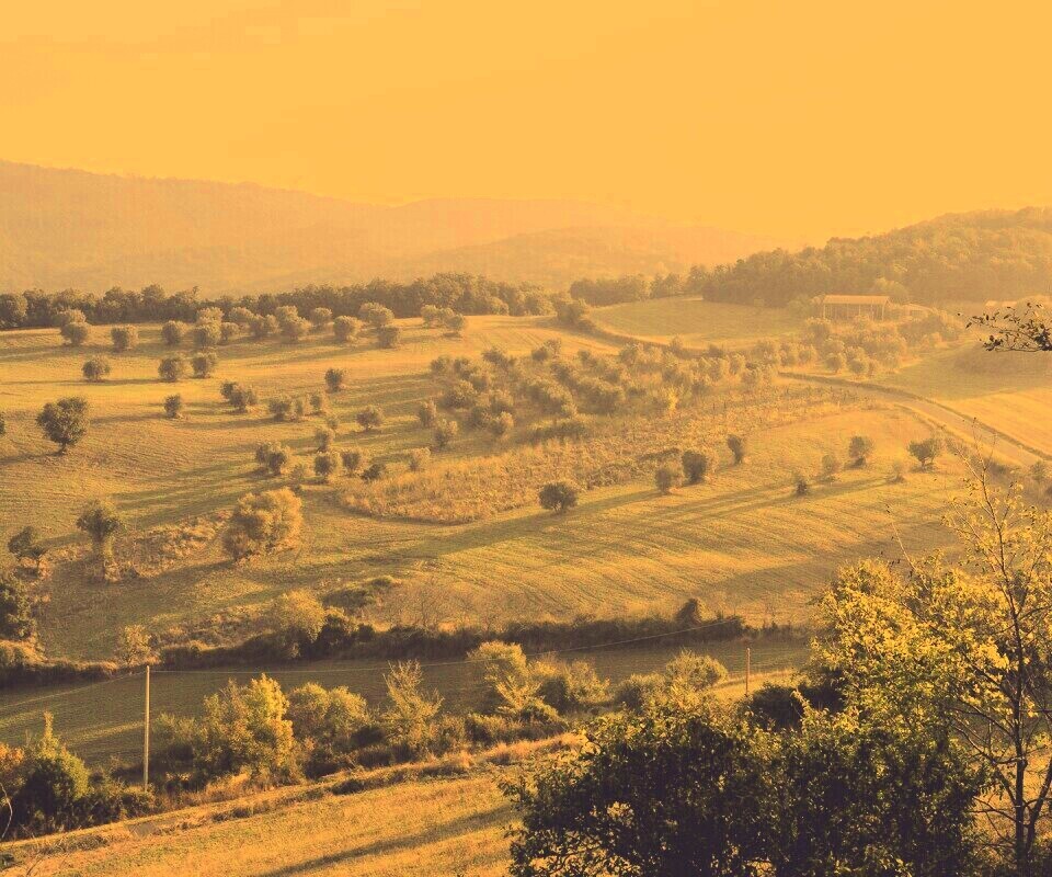 Ферма в долине обои