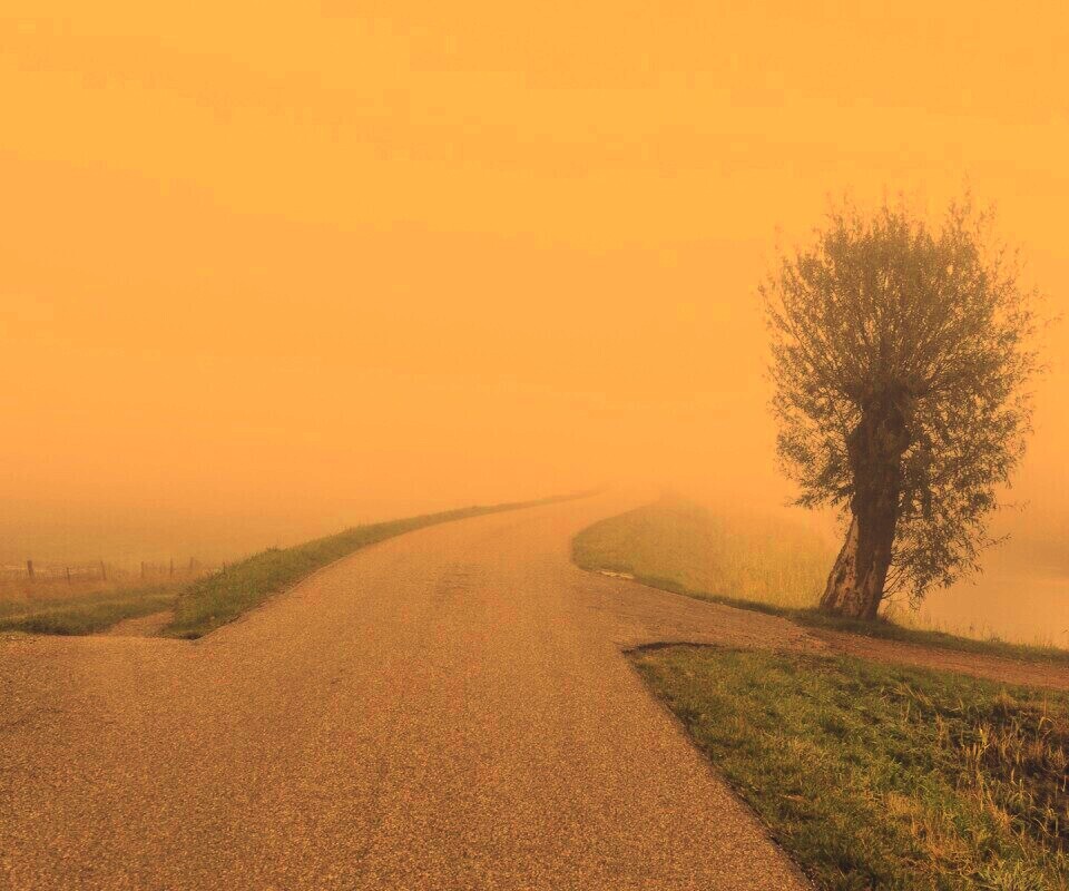 Дорога растворяется в тумане обои