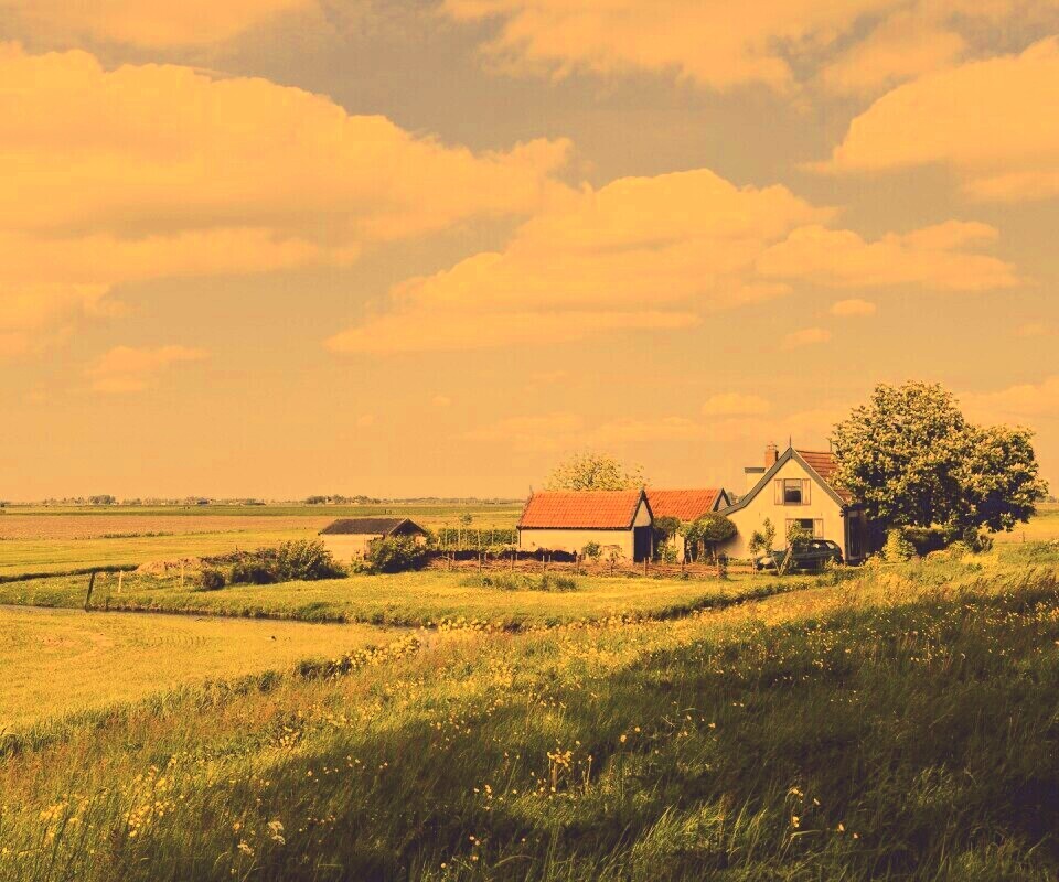 дом на лугу обои