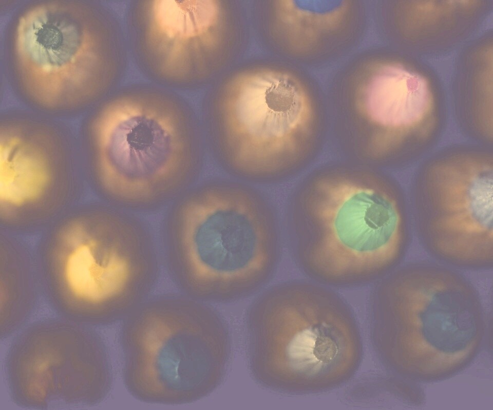 Карандаши обои