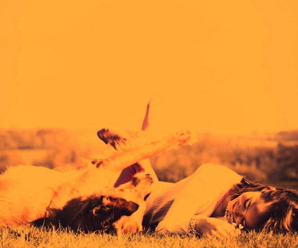 Девушка и собака валяются на траве обои