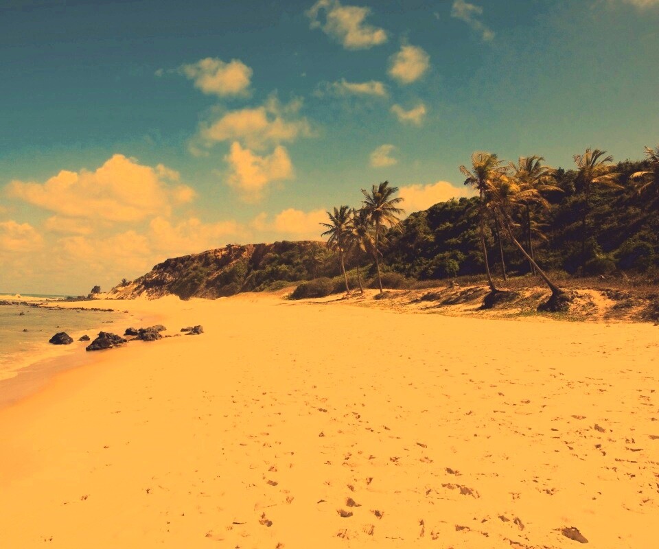 Туры в Бразилию в Лондрину обои