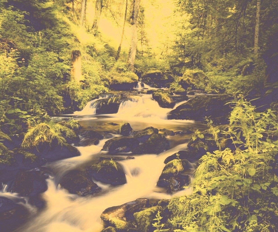 Живописный лесной водопад обои