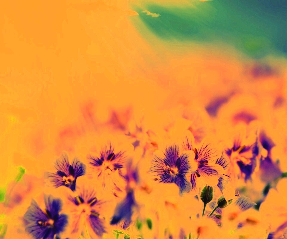 Цветочки обои