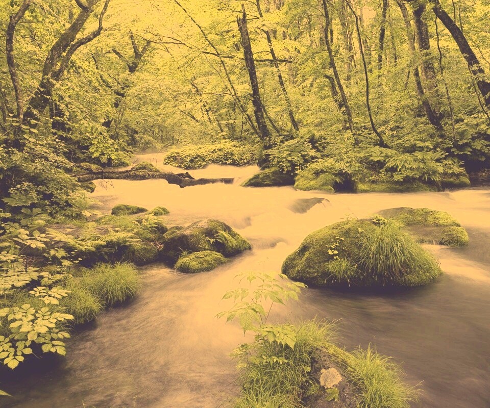 Лесная река обои