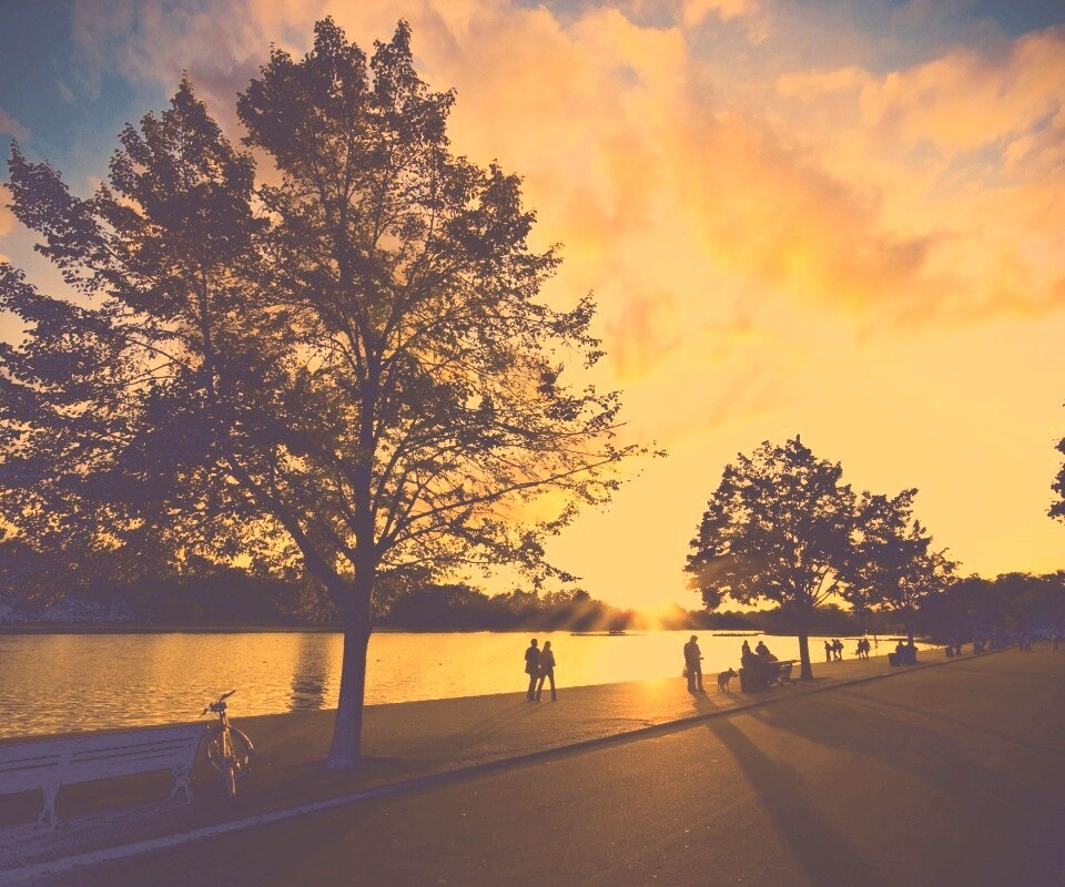 Природа обои