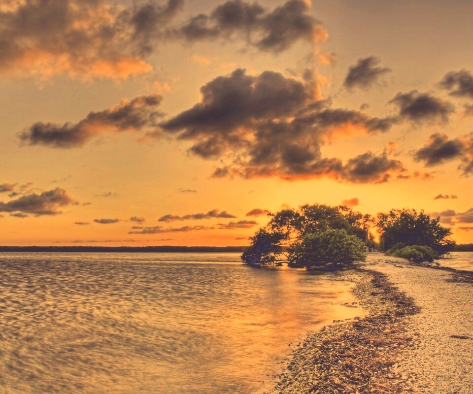 Побережье на закате обои