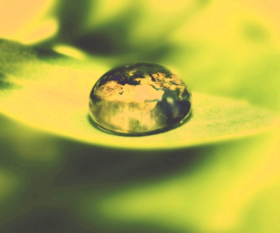 Целый мир в капле воды обои