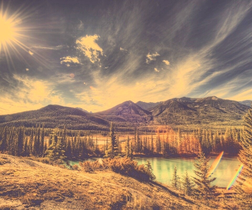 Болотистая местность обои