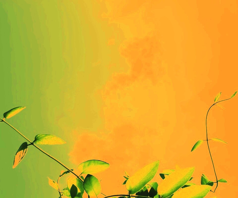 Зеленые ветви на фоне голубого неба обои