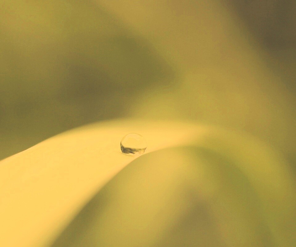 Капелька воды обои