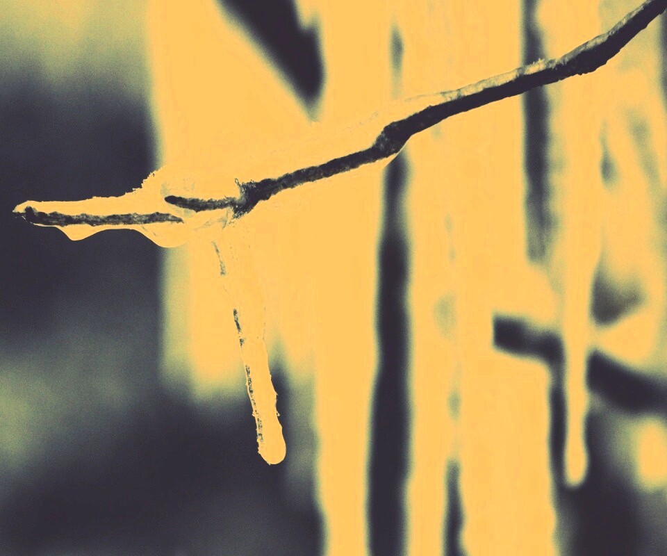 Сосуля обои