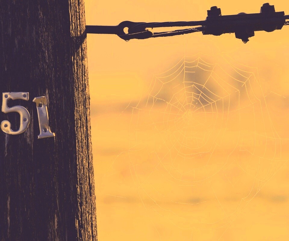 Паутина 51 обои