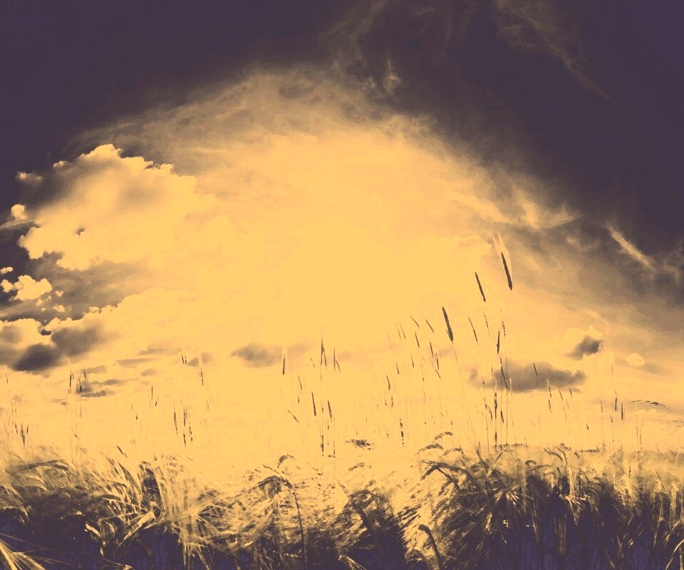 Сюрреалистичная трава обои