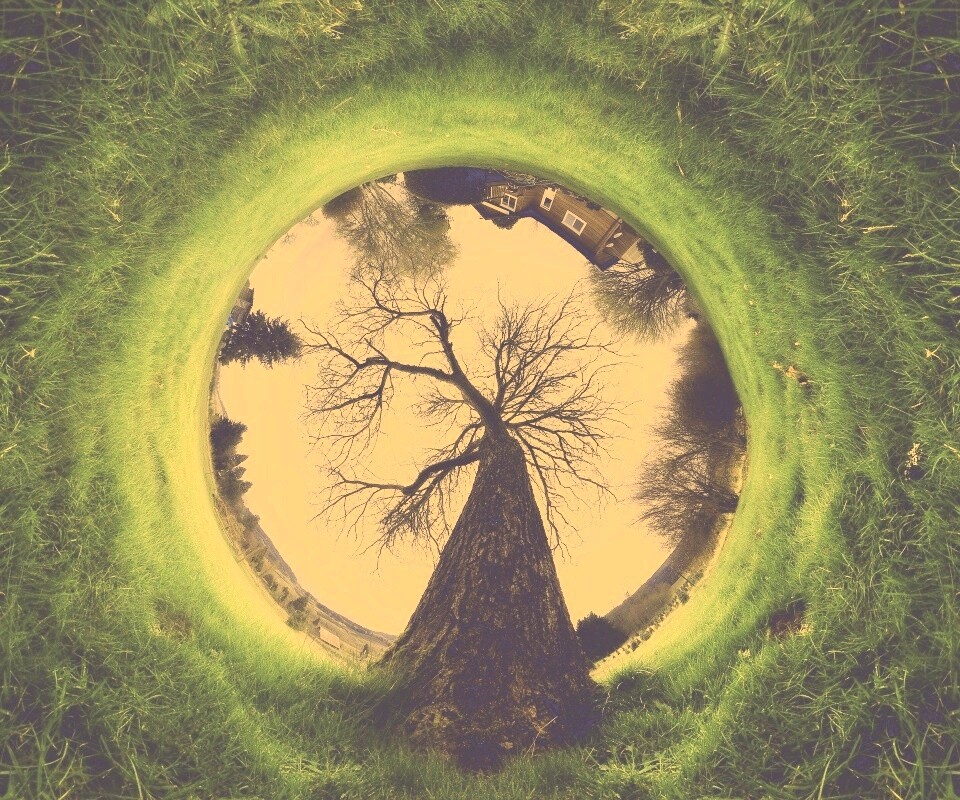 Другой взгляд на мир обои