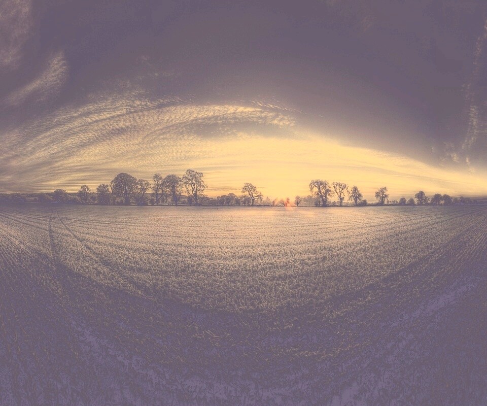 Поле широкоугольным объективом обои