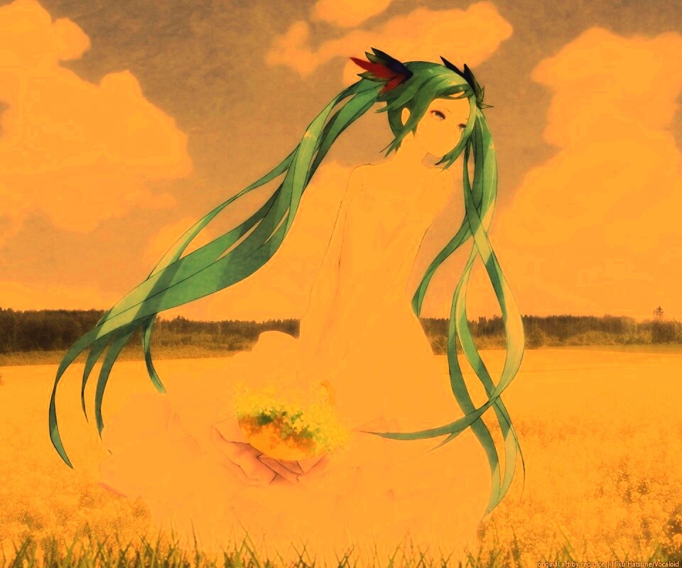 Хатсуне в поле обои