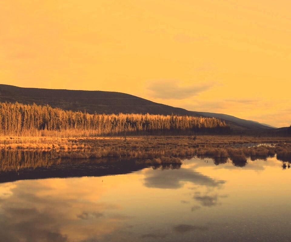 Осеннее озеро обои