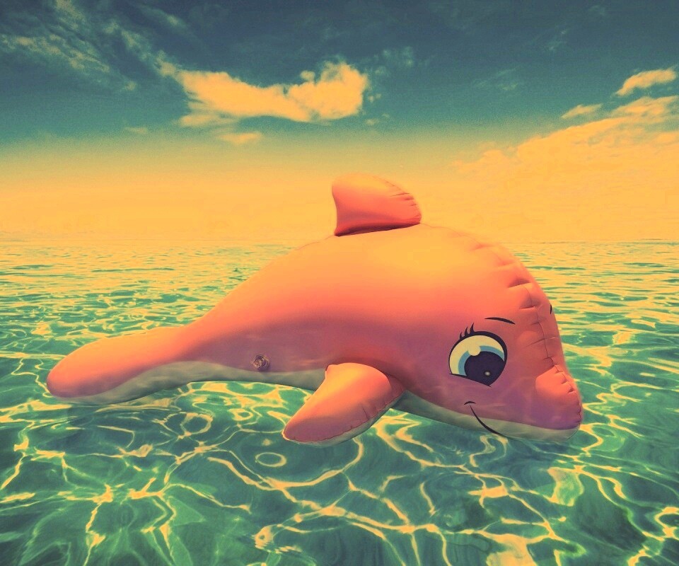 Надувной розовый дельфин обои