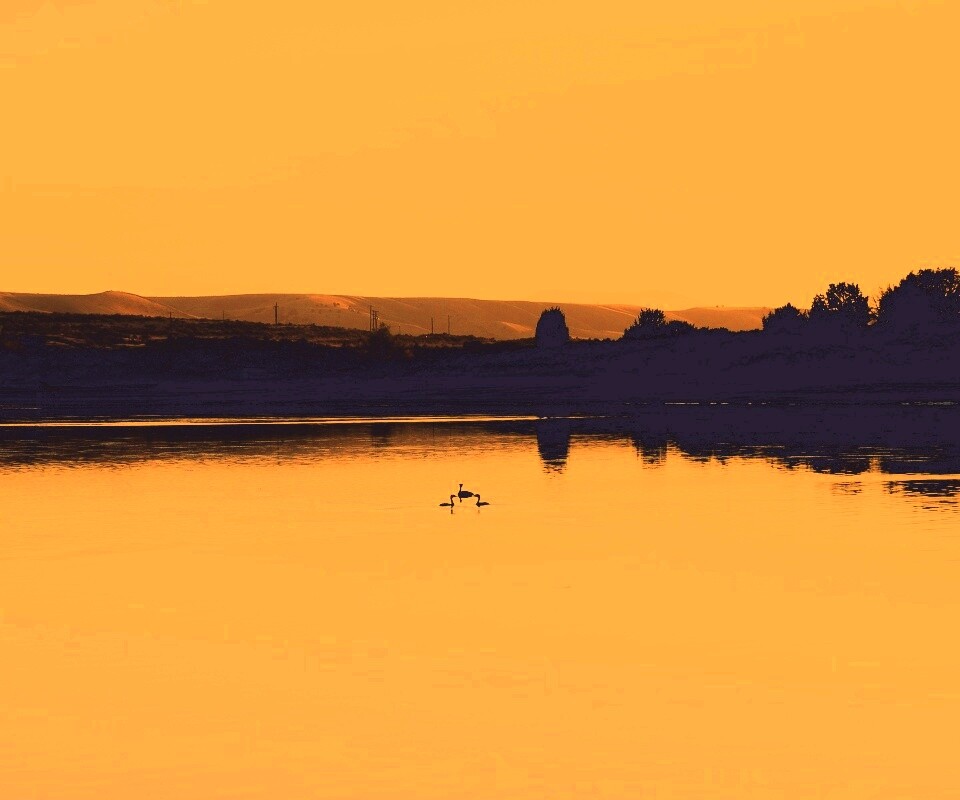 Утиное озеро обои