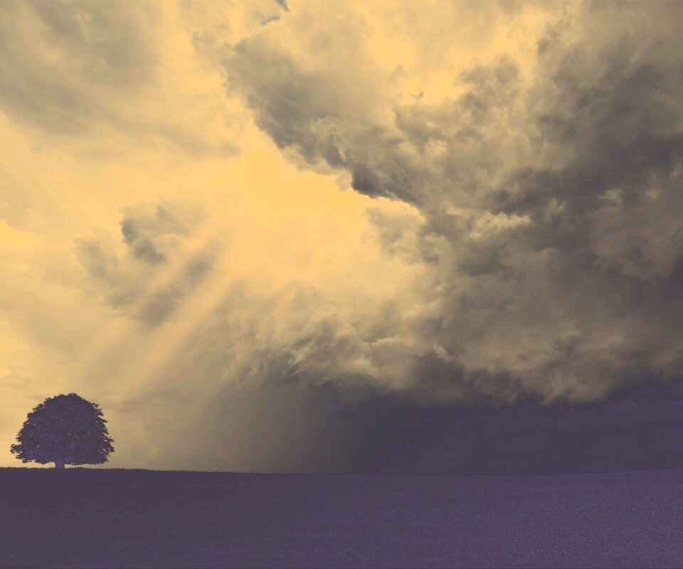 Избранный обои