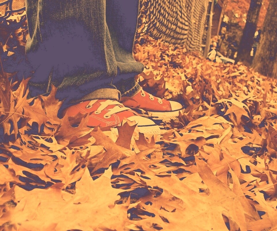 Оранжевые кеды обои