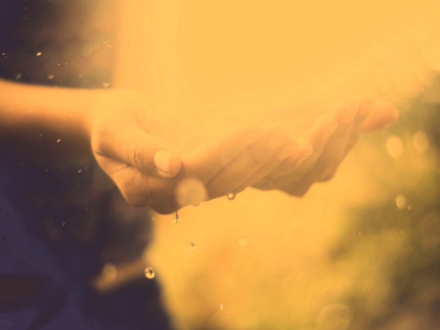 Дождь в ладонях обои