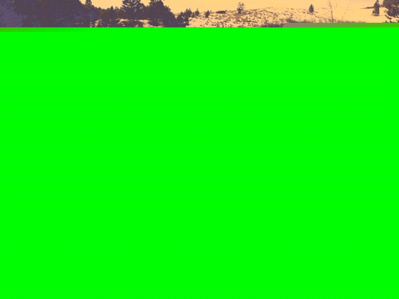 Мишка зевнул обои