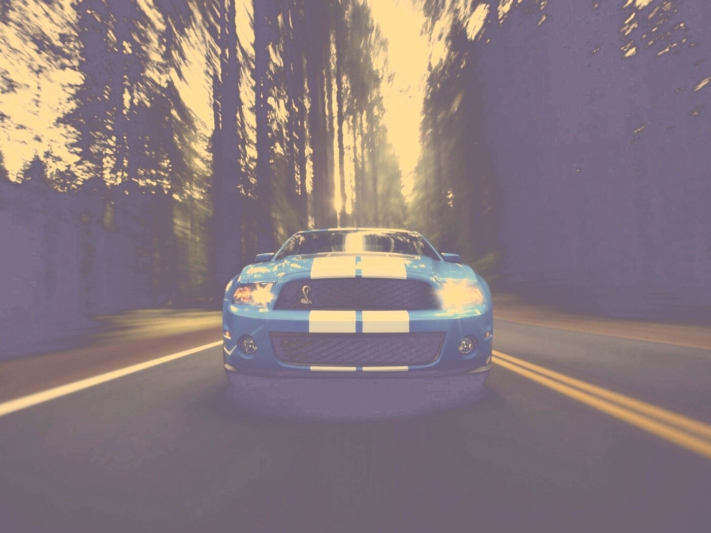 Форд Шелби обои