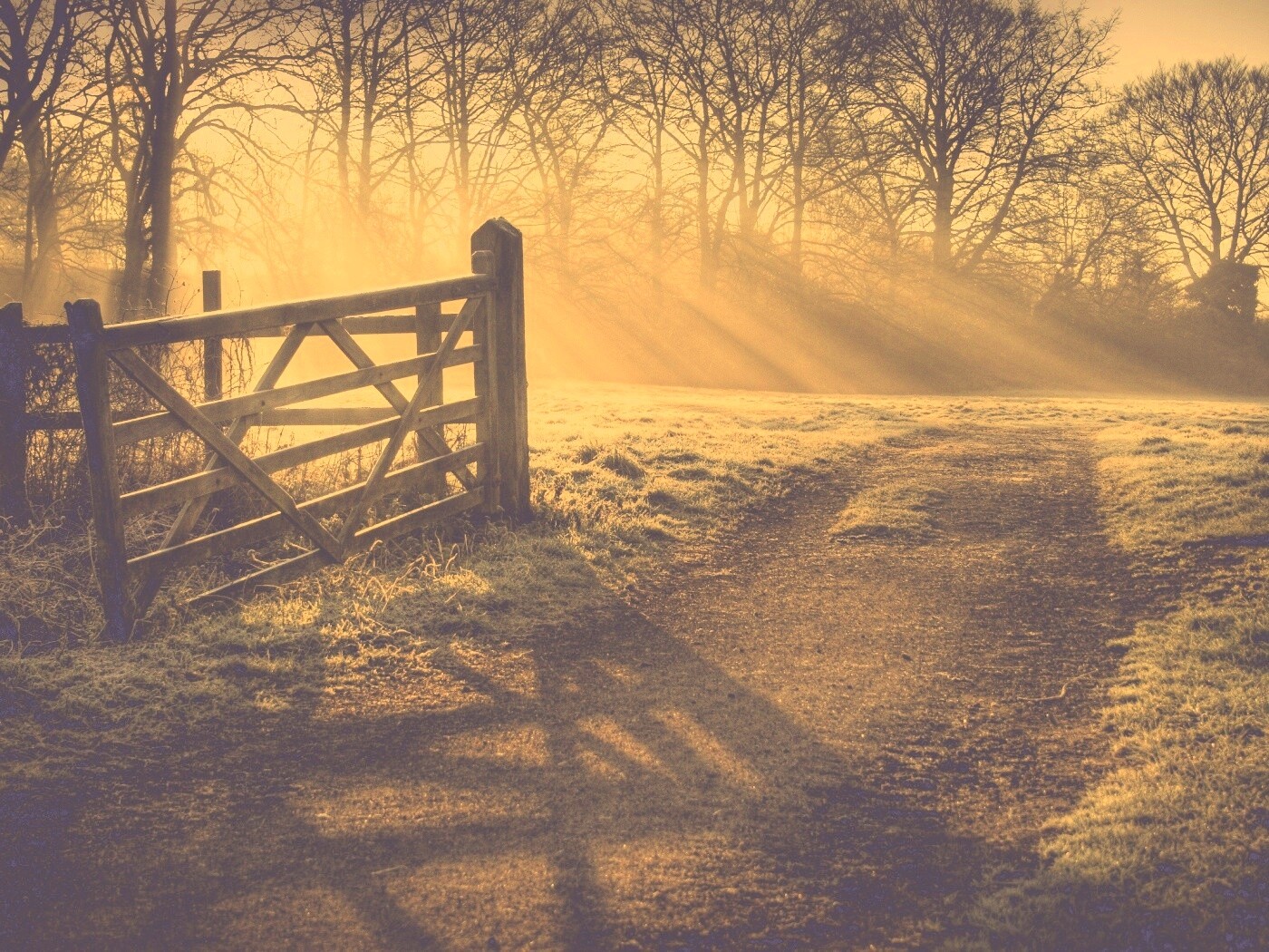 Открытые ворота обои