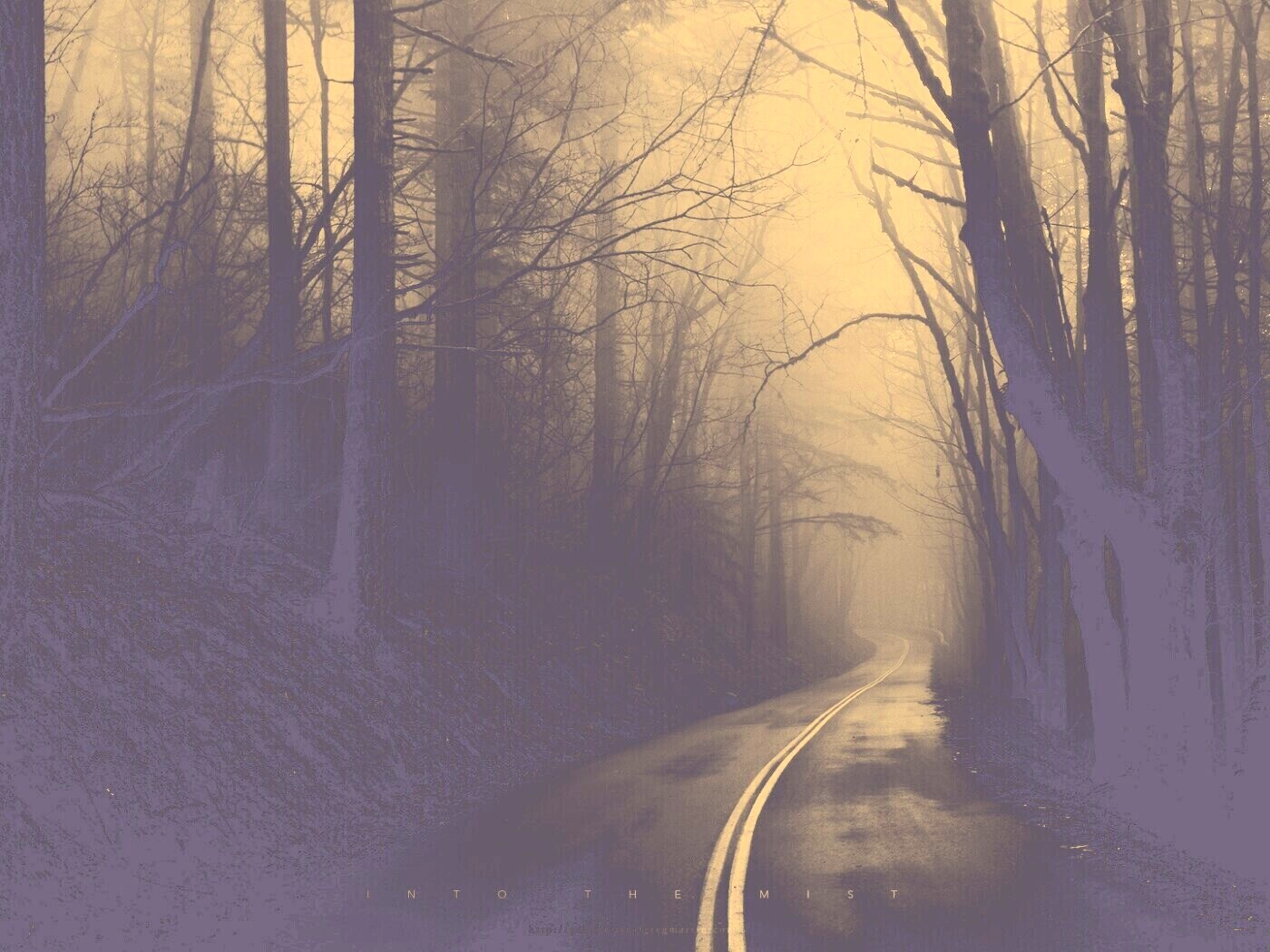 В туман обои