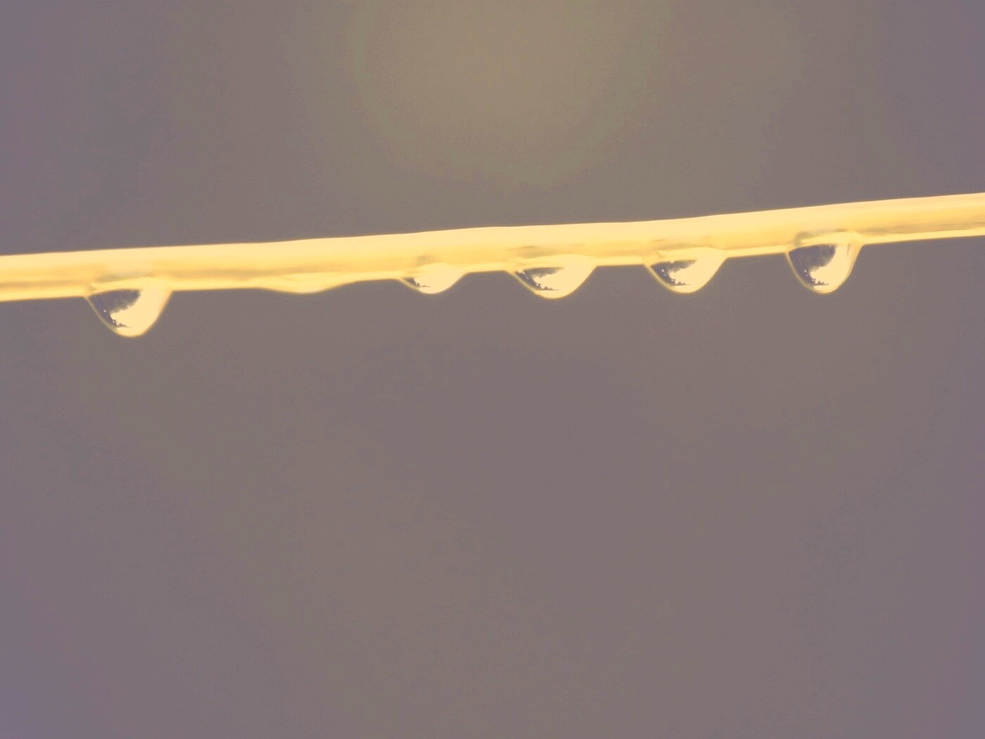 Капли на соломинке обои